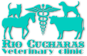 Rio Cucharas Veterinarian Clinic